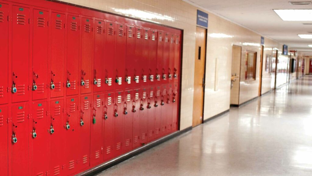 Do we need public schools?
