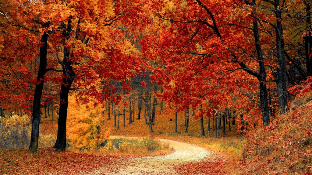 October 15 – Isaac’s blessing