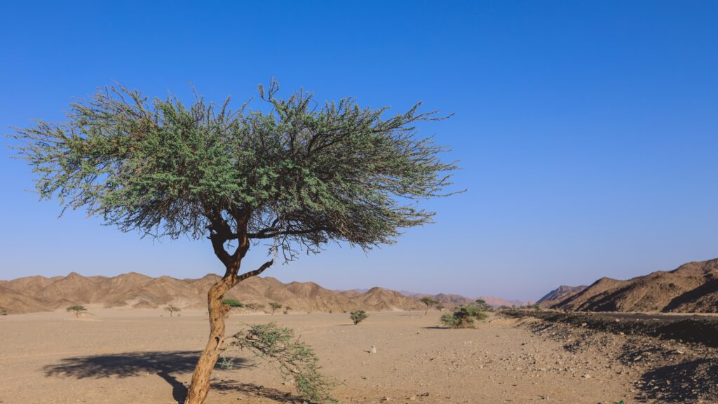 October 19 – The faith of Moses