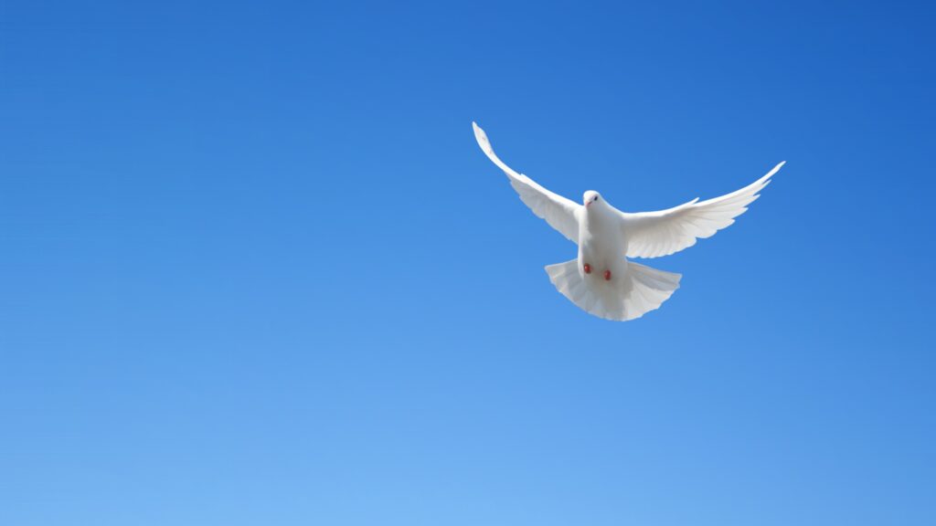 November 18 – God’s Holy Spirit is in you