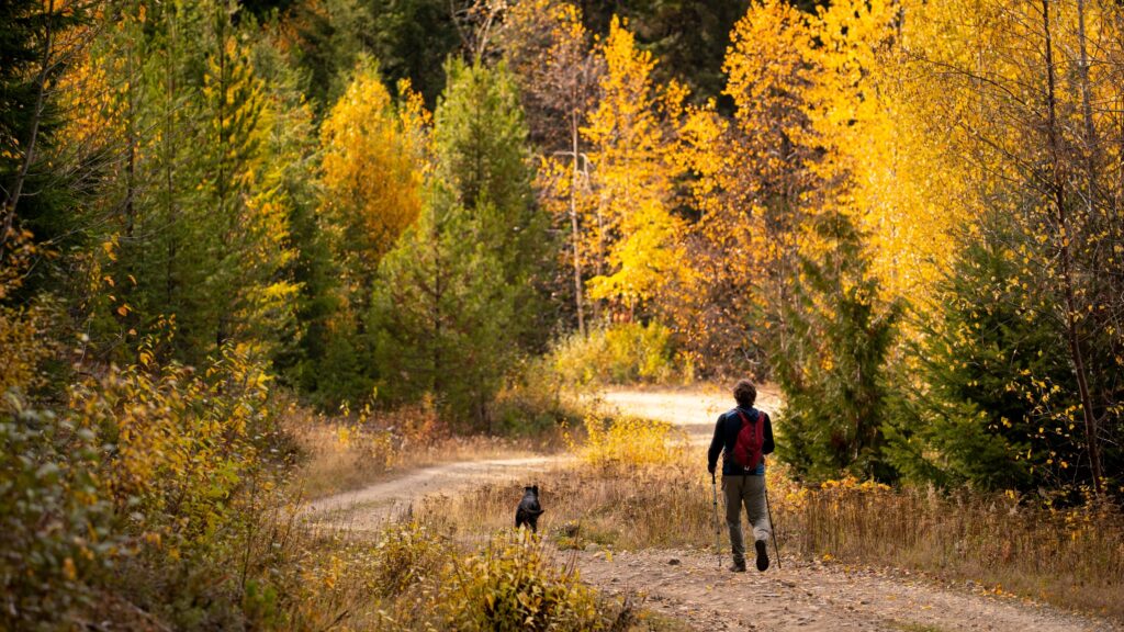 November 5 – Turning away from idols