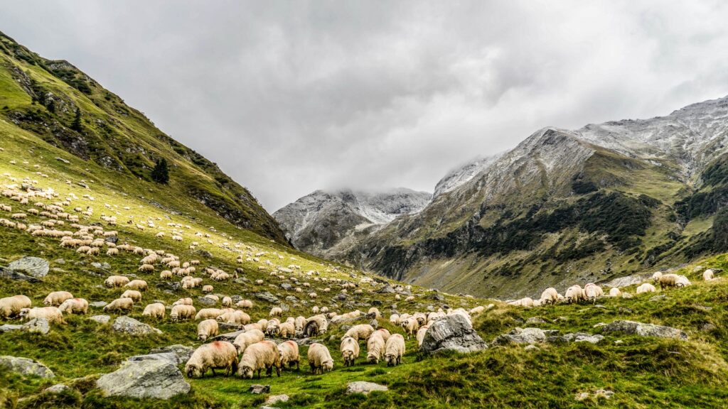 November 13 – We have been comforted about you through your faith