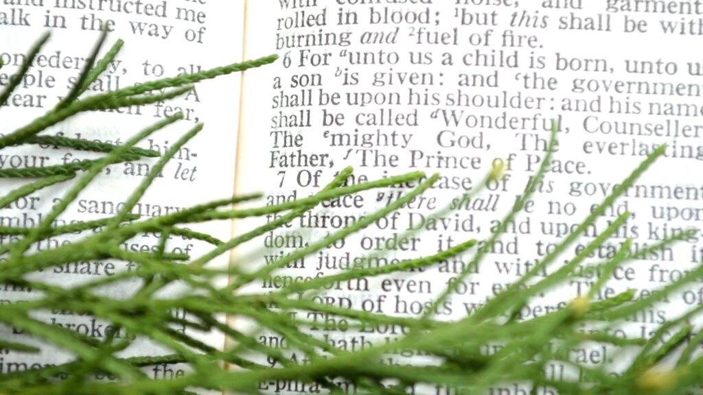 December 5 – The wonderful counselor