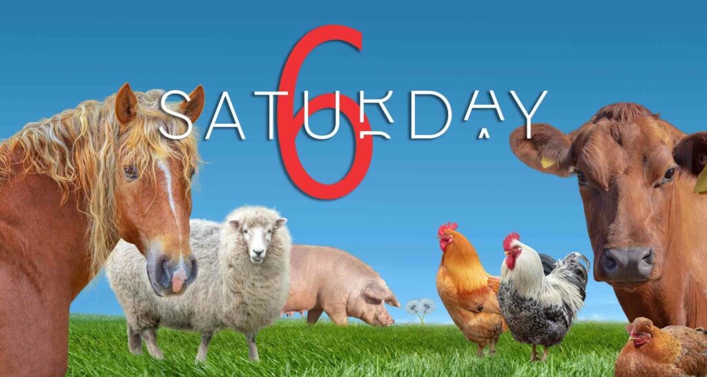 Saturday Selections – Jan 20, 2024