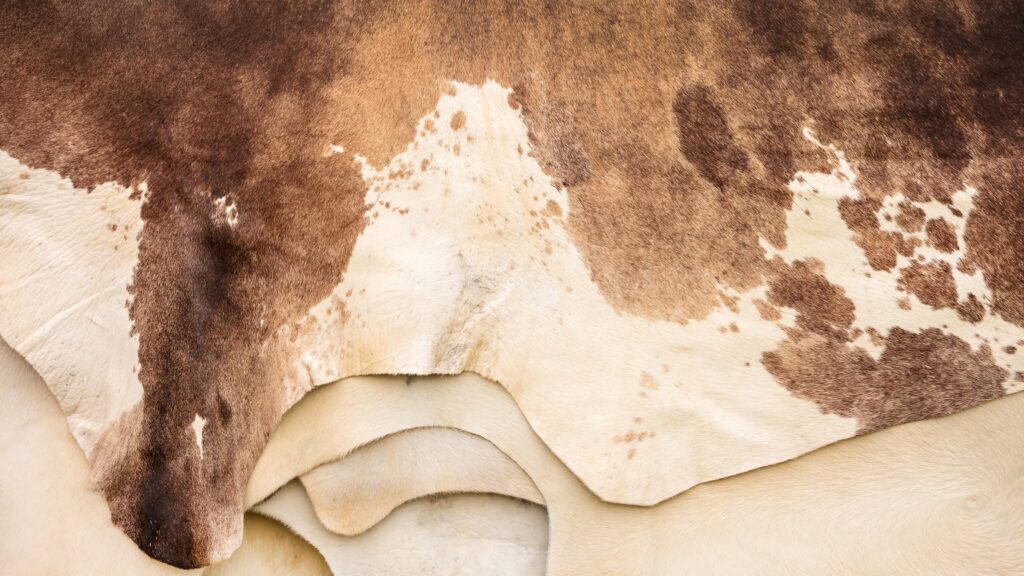 February 1 – Introduction to grace 