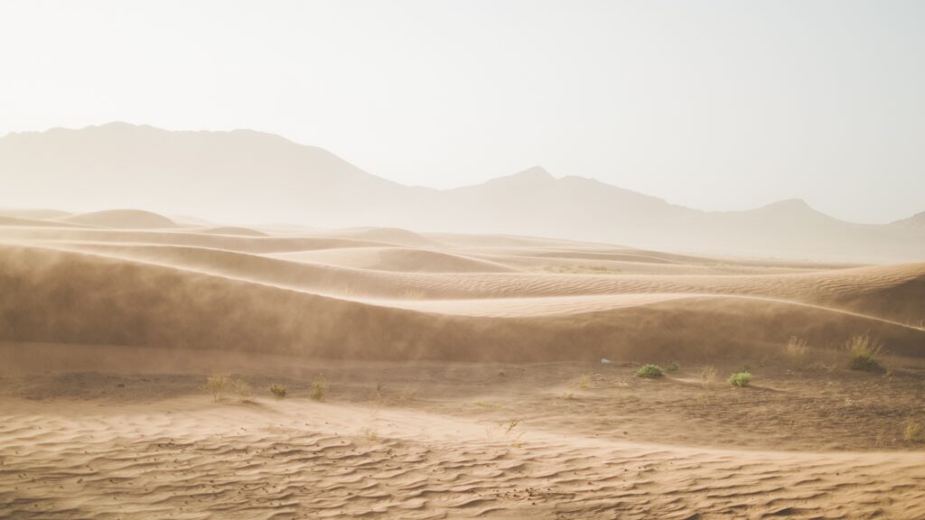 January 13 – Even the land mourns 