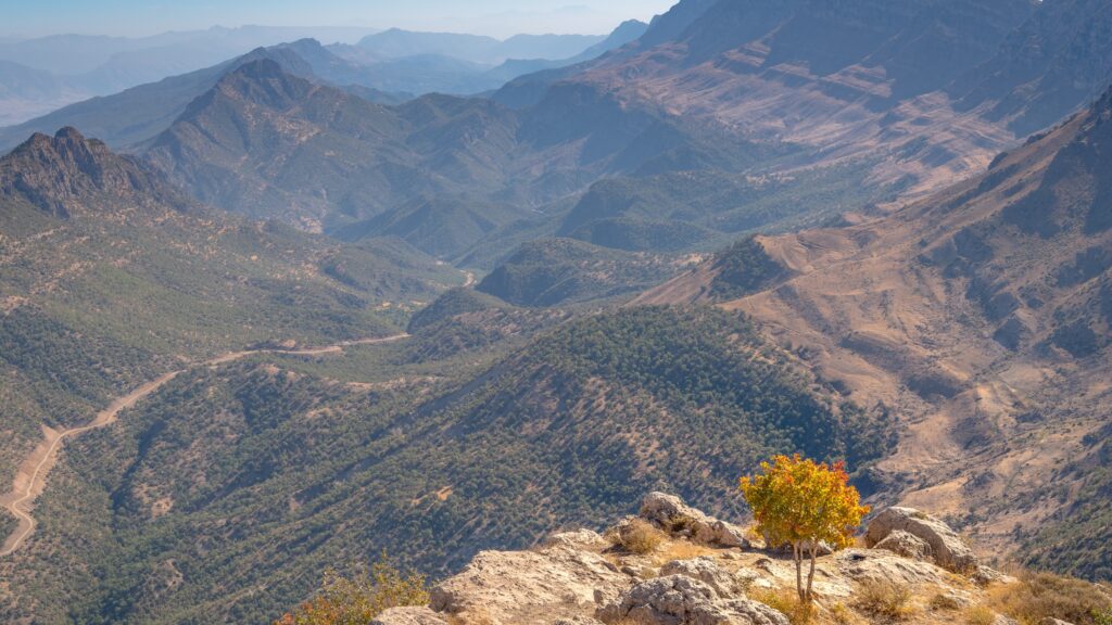 February 5 – Uprooted and transplanted by God’s goodness