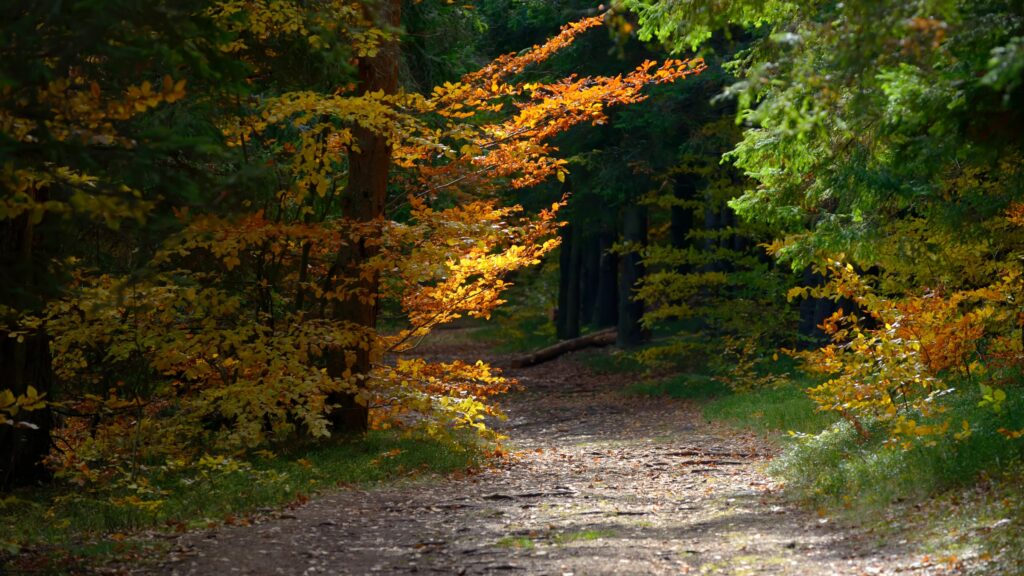 February 7 – Grace in life’s messes