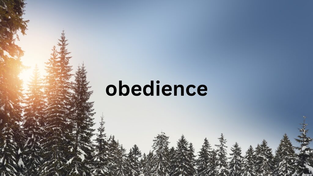 February 27 – God’s grace brings new obedience!