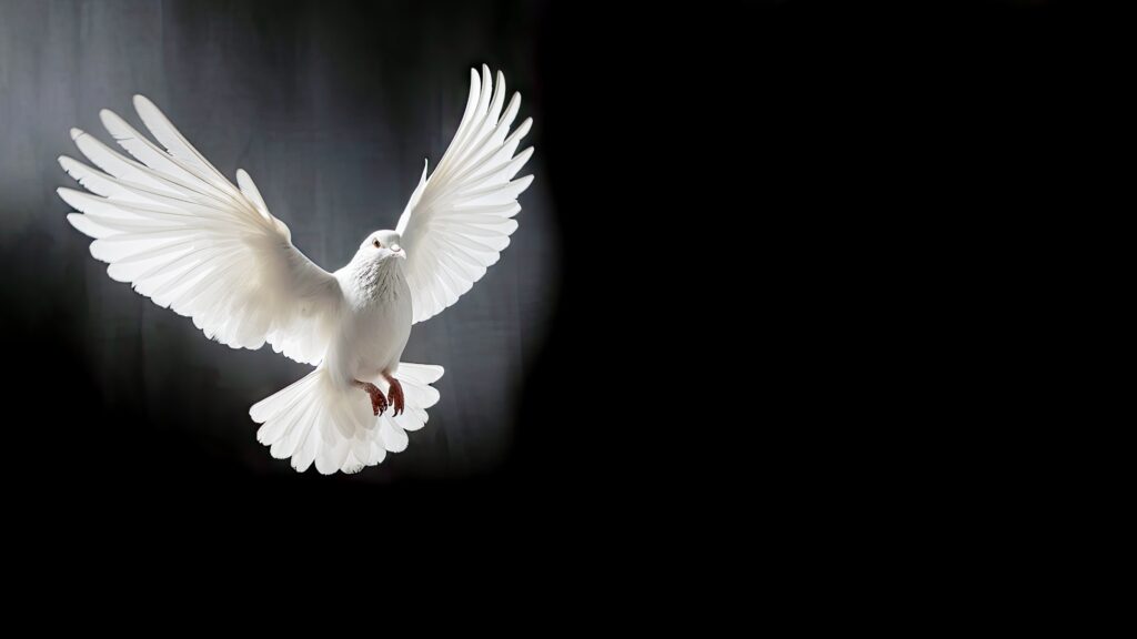 March 8 – Christ, empowered by the Spirit 