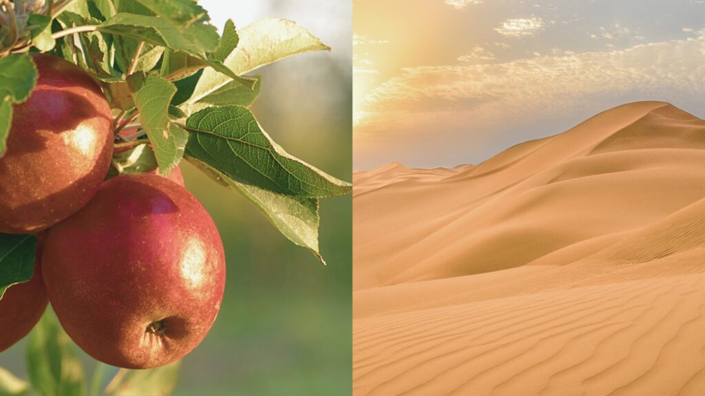  March 11- Christ’s temptations 