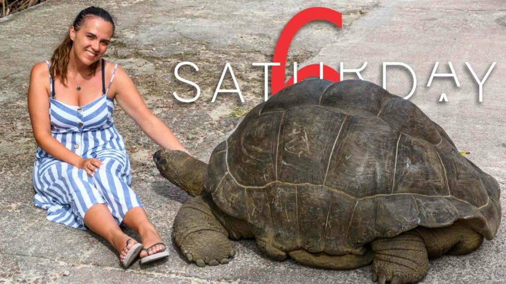 Saturday Selections – August 17, 2024