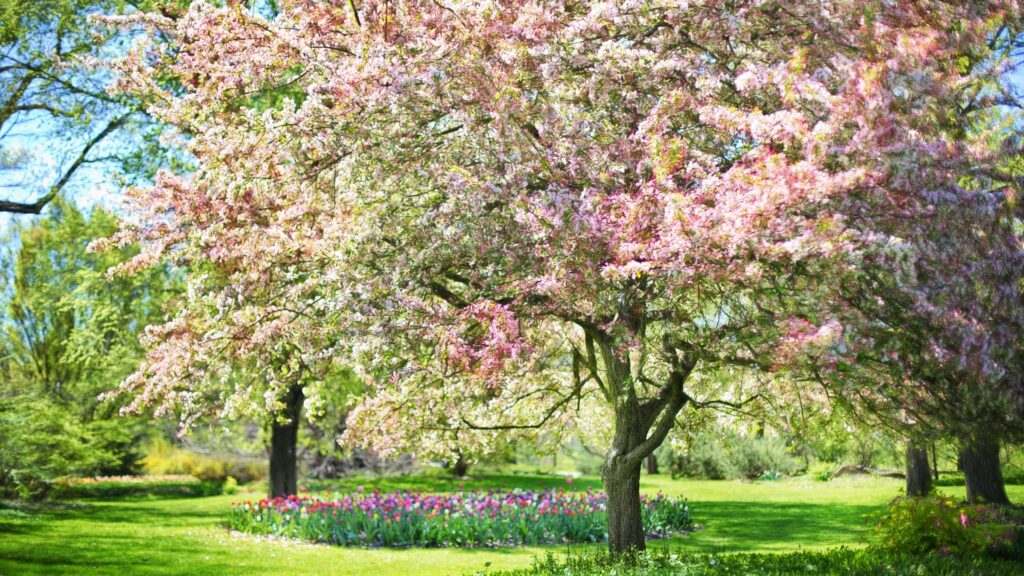April 3 – The necessity of the ascension