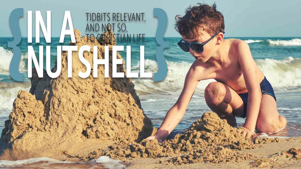 Tidbits – April 2024