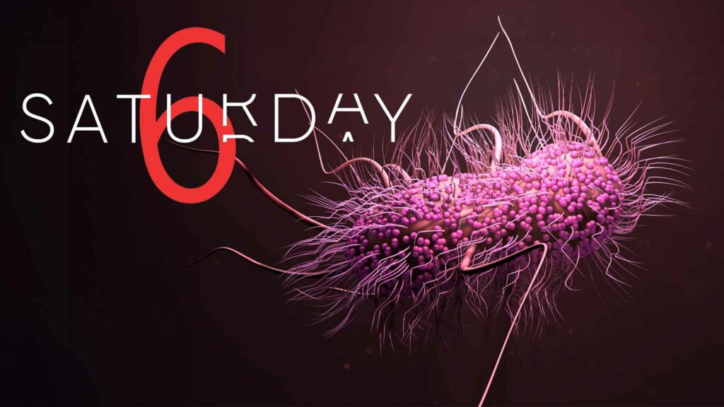 Saturday Selections – September 14, 2024