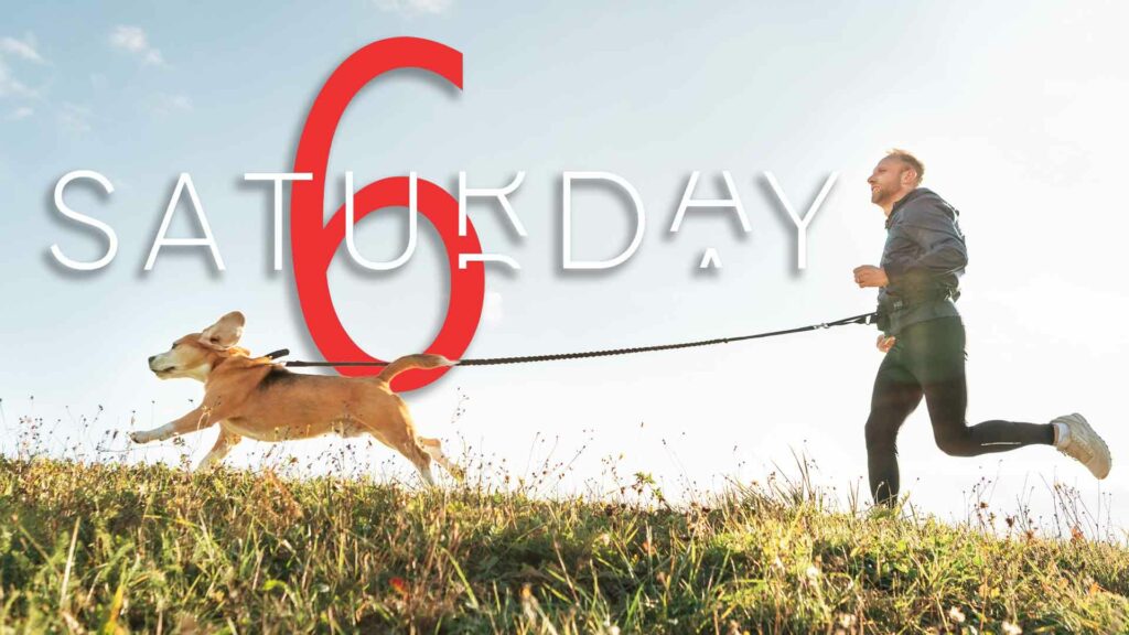Saturday Selections – Feb. 1, 2025