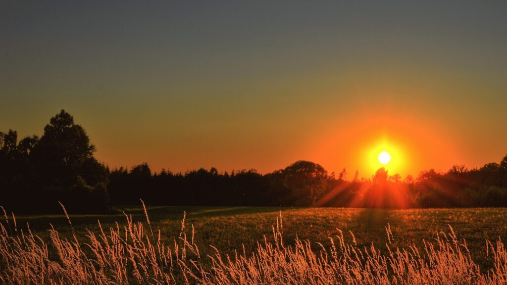May 24 – This verse is not about the days of creation!