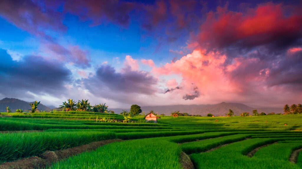 May 27 – The new heavens and new earth 