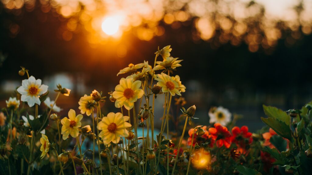 May 4 – The believer’s privileged position 
