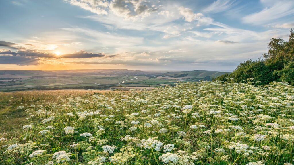 June 22 – The peace of knowing who we are 