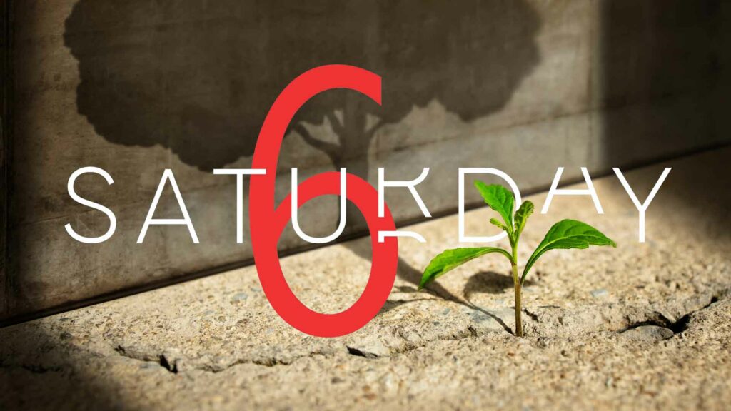 Saturday Selections – June 15, 2024
