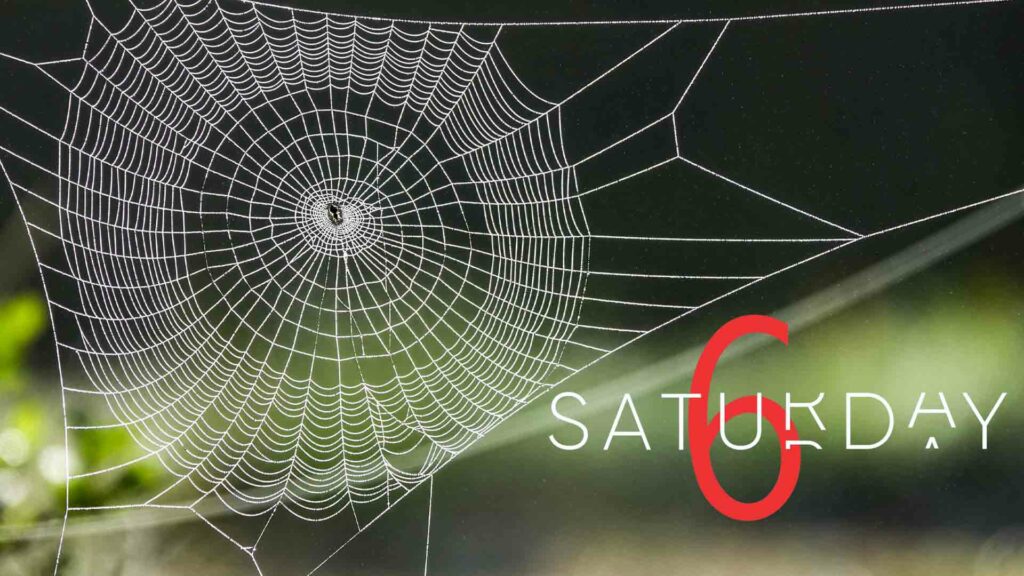 Saturday Selections – July 6, 2024