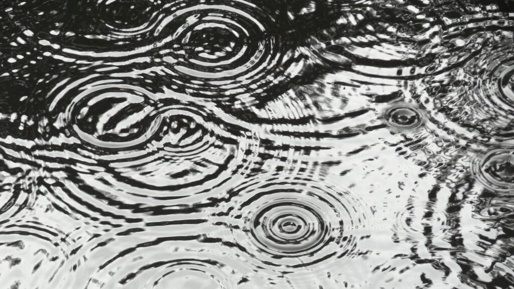 November 11 – A sound of rushing rain