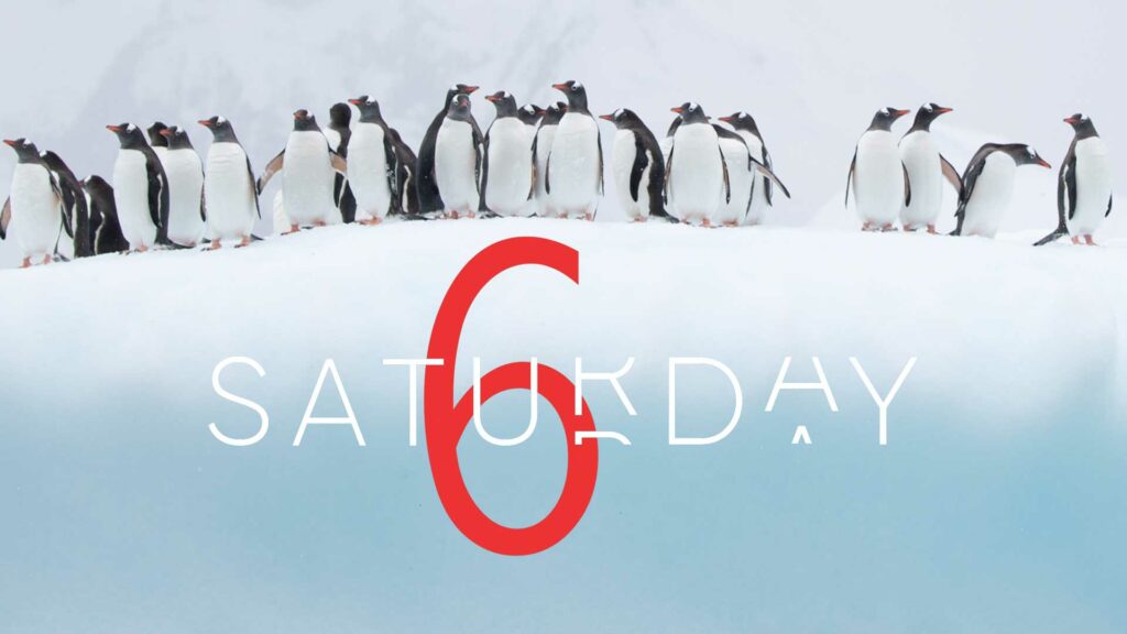 Saturday Selection – Oct 19, 2024