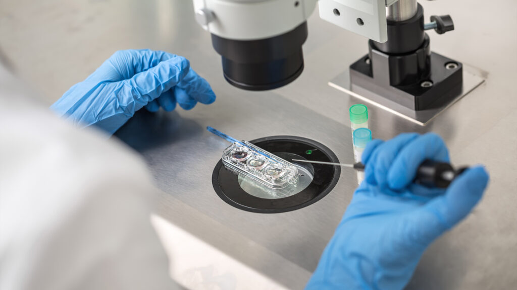 John Rustad, latest conservative leader to promote IVF