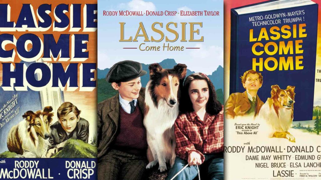 Lassie come home