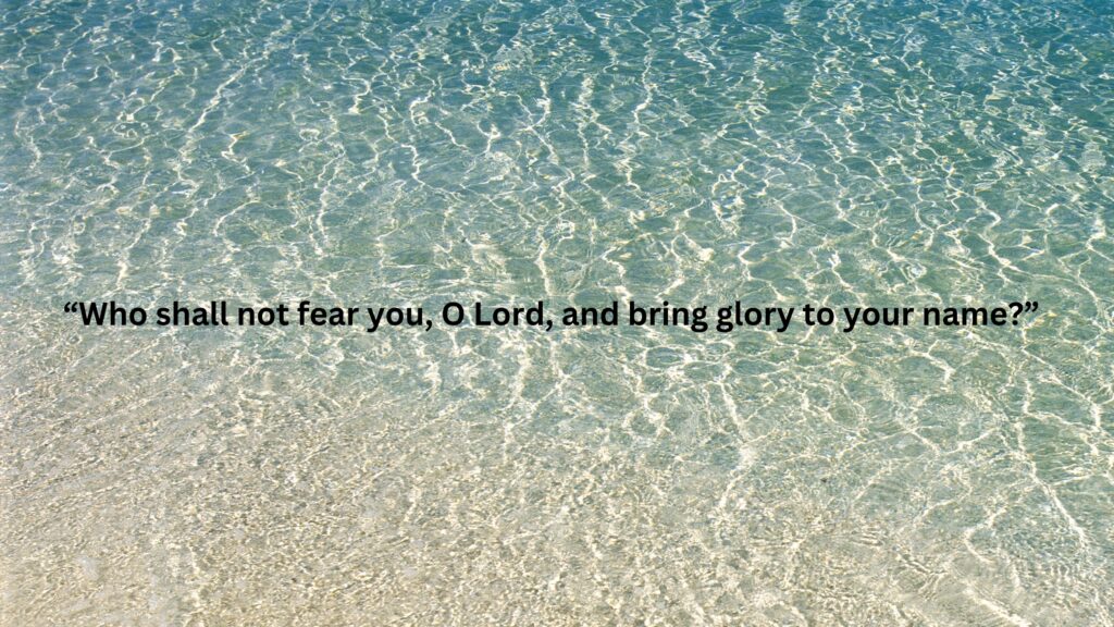 December 3 – Reason for optimism