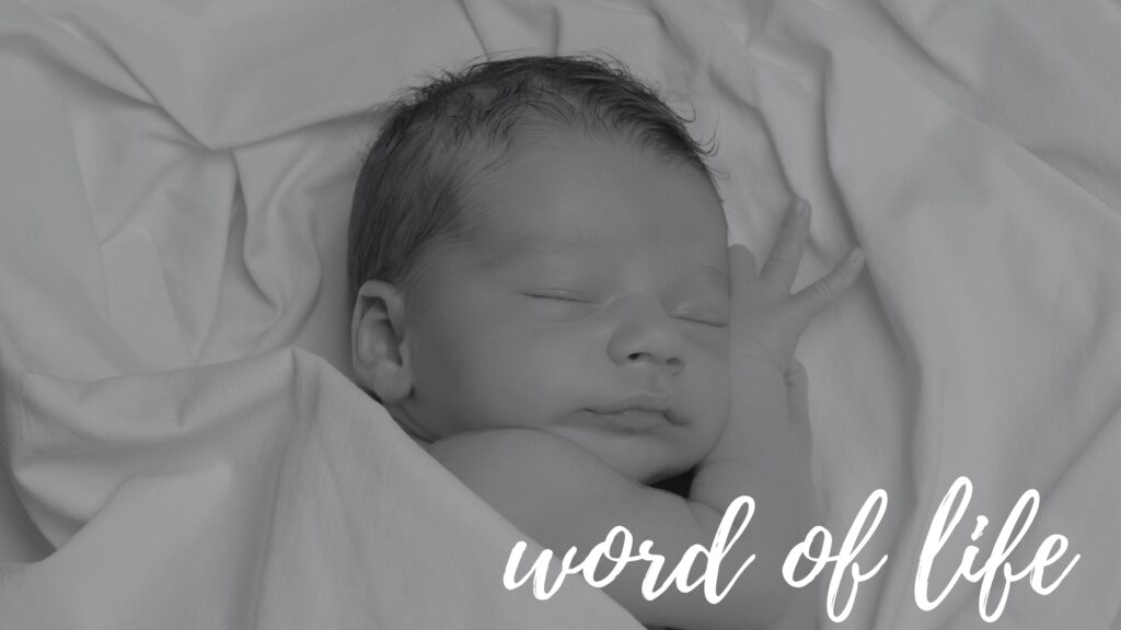 November 21 – The word of life (II)