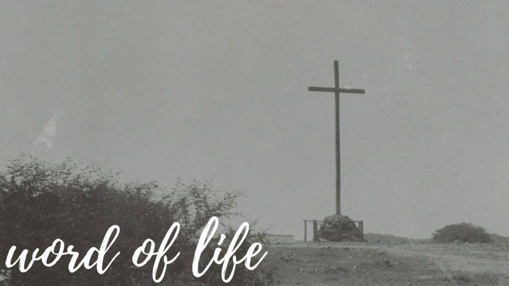 November 22 – The word of life (III)