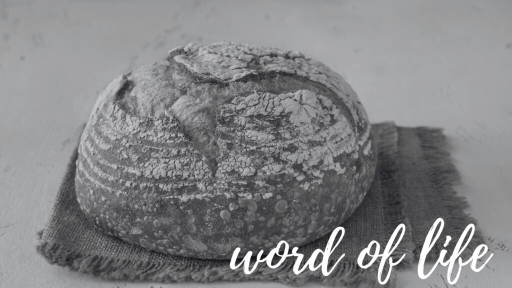November 23 – The word of life (IV)