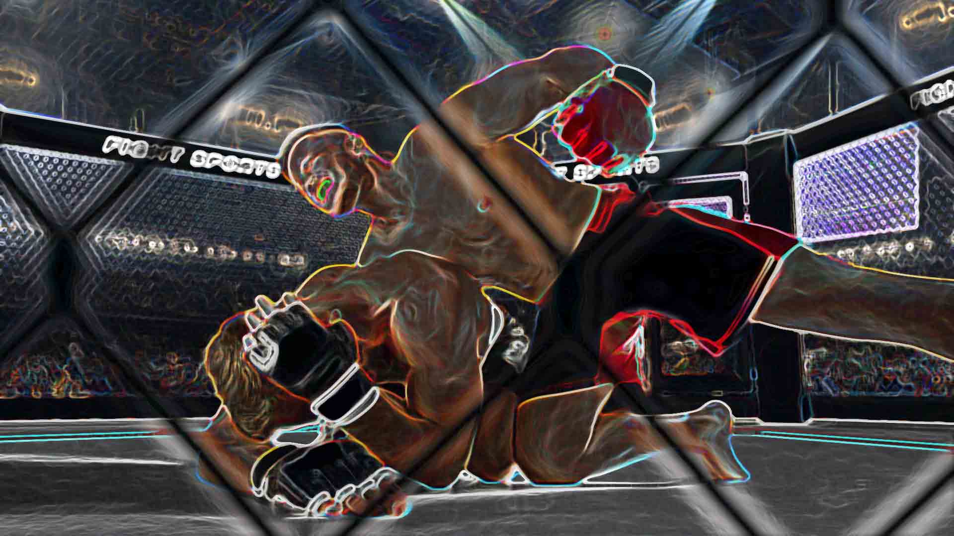 The case against MMA, boxing, gladiatorial combat, cockfighting ...