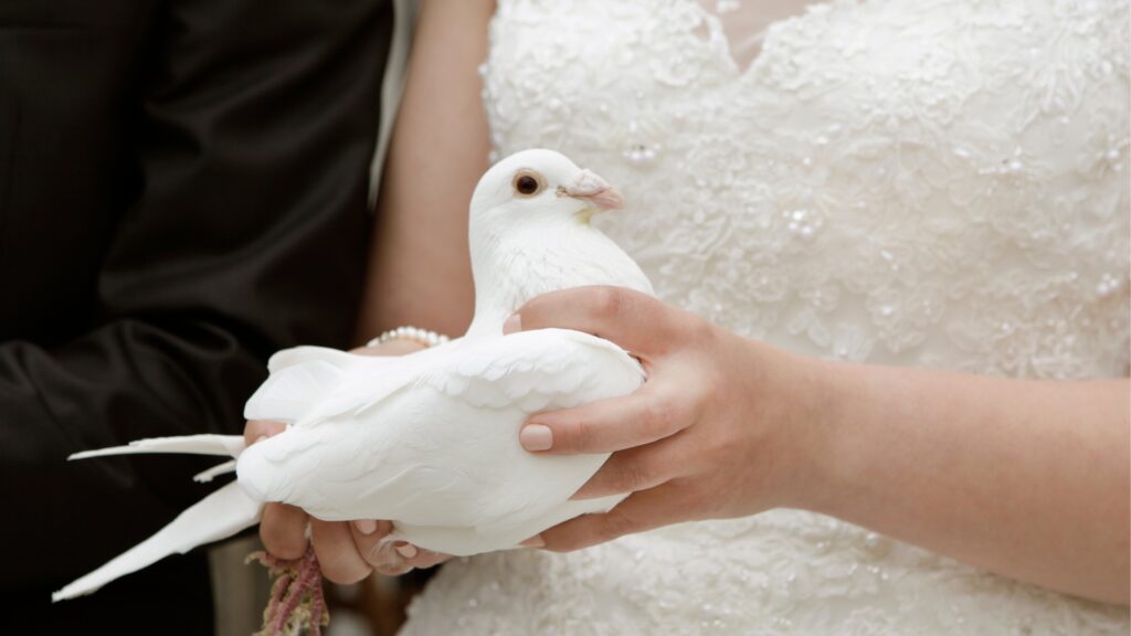 December 31 – The Bride and Spirit in sync
