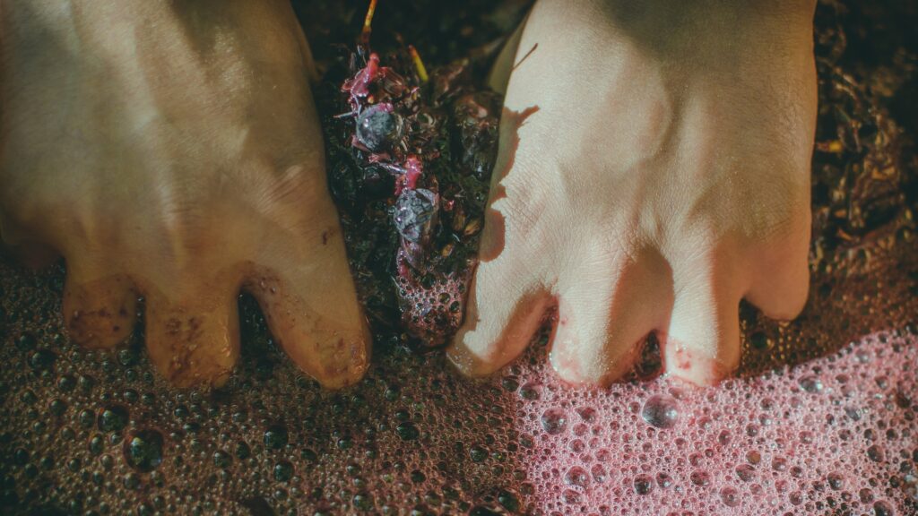 January 4 – New wine