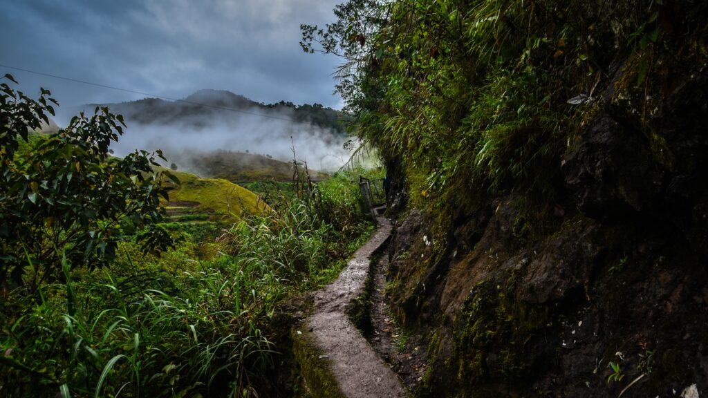 January 9 – The path ahead