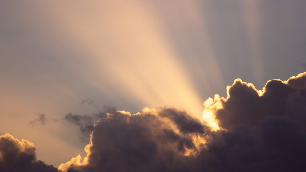 January 26 – Celebrating life eternal