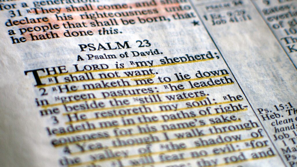 February 6 – The appealing candidate