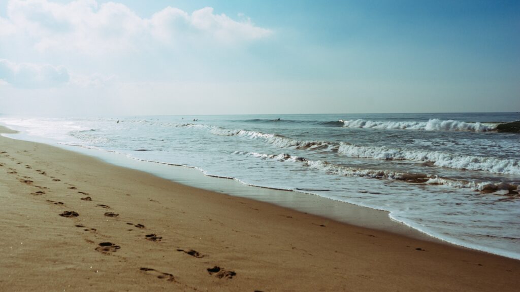 February 24 – The restful reversal described (II)