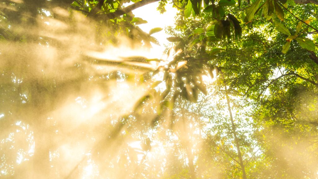 March 26 – Tempted in our suffering