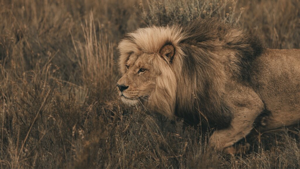 March 22 – Trials and temptations