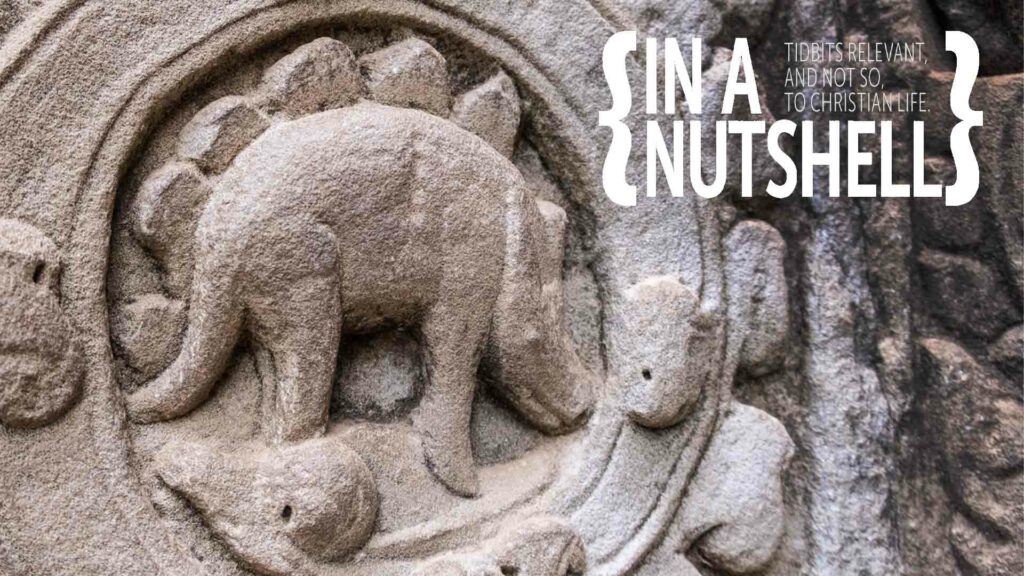 Tidbits – April 2025