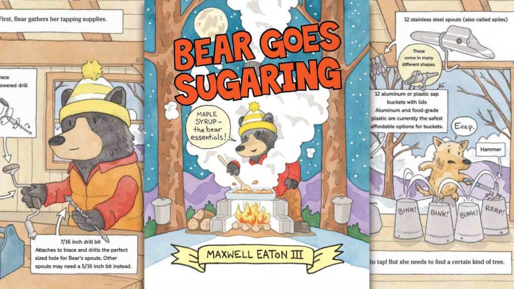 Bear goes sugaring