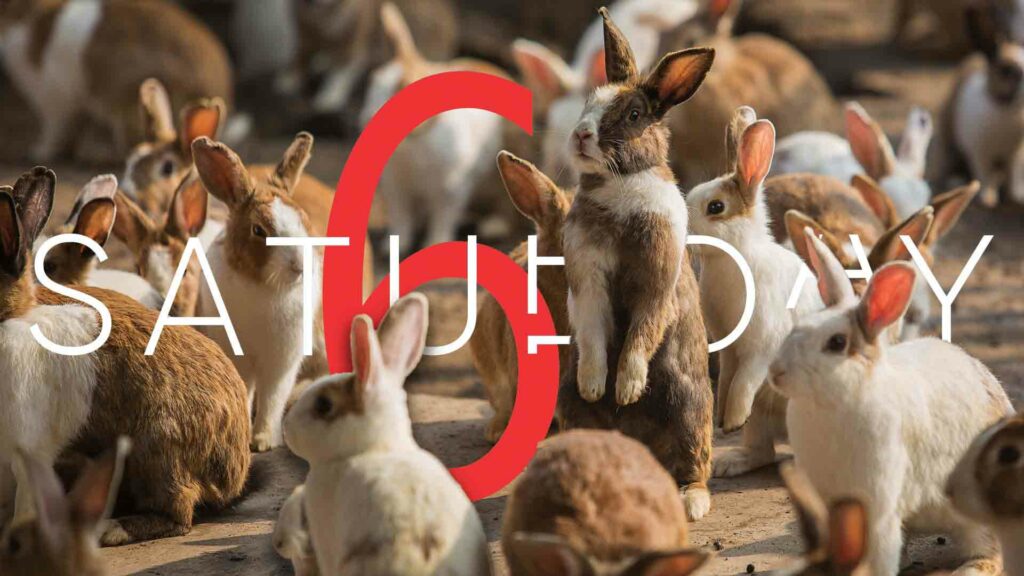 Saturday Selections – April 19, 2025