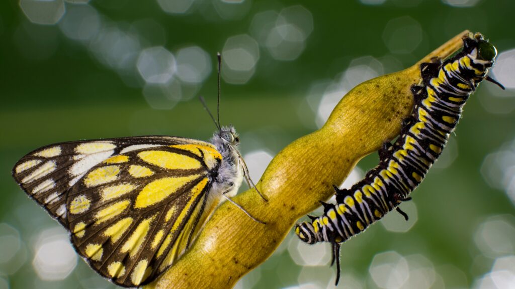 May 7 – New creations in Christ