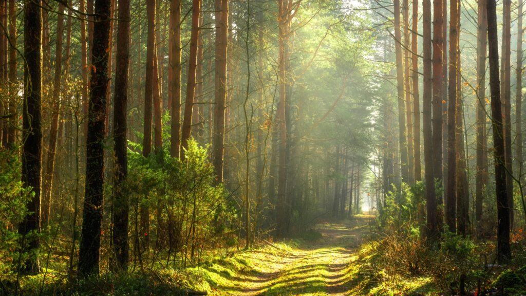 May 6 – Our place in the world