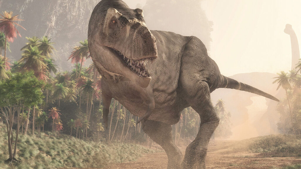 T-Rex leather coming to a store near you?