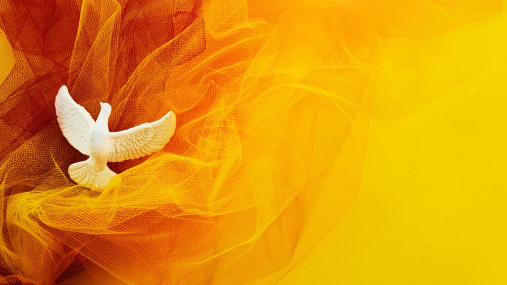July 11 – Fellowship in the truth (II)